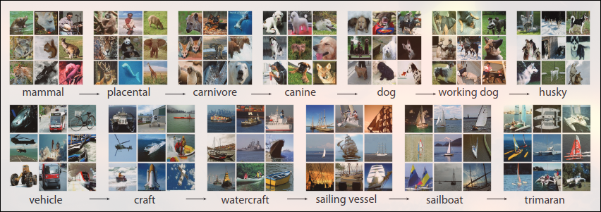 Example of the mammal subtree (top row) and vehicle subtree (bottom row) in the ImageNet database